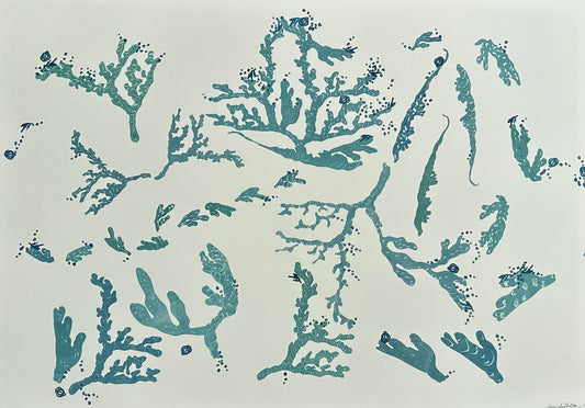 coral oyster and abstract coastal designs in teal blue ocean hues on a white background.