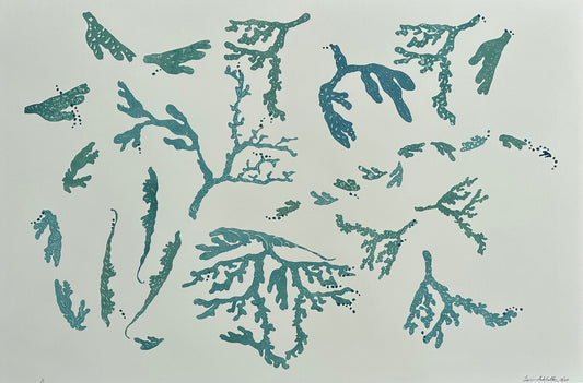 coral oyster and abstract coastal designs in teal blue ocean hues on a white background.