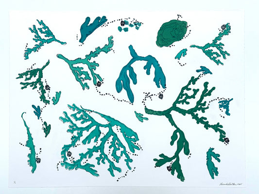 coral oyster and abstract coastal designs in teal blue ocean hues on a white background.