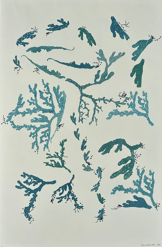 coral oyster and abstract coastal designs in teal blue ocean hues on a white background.