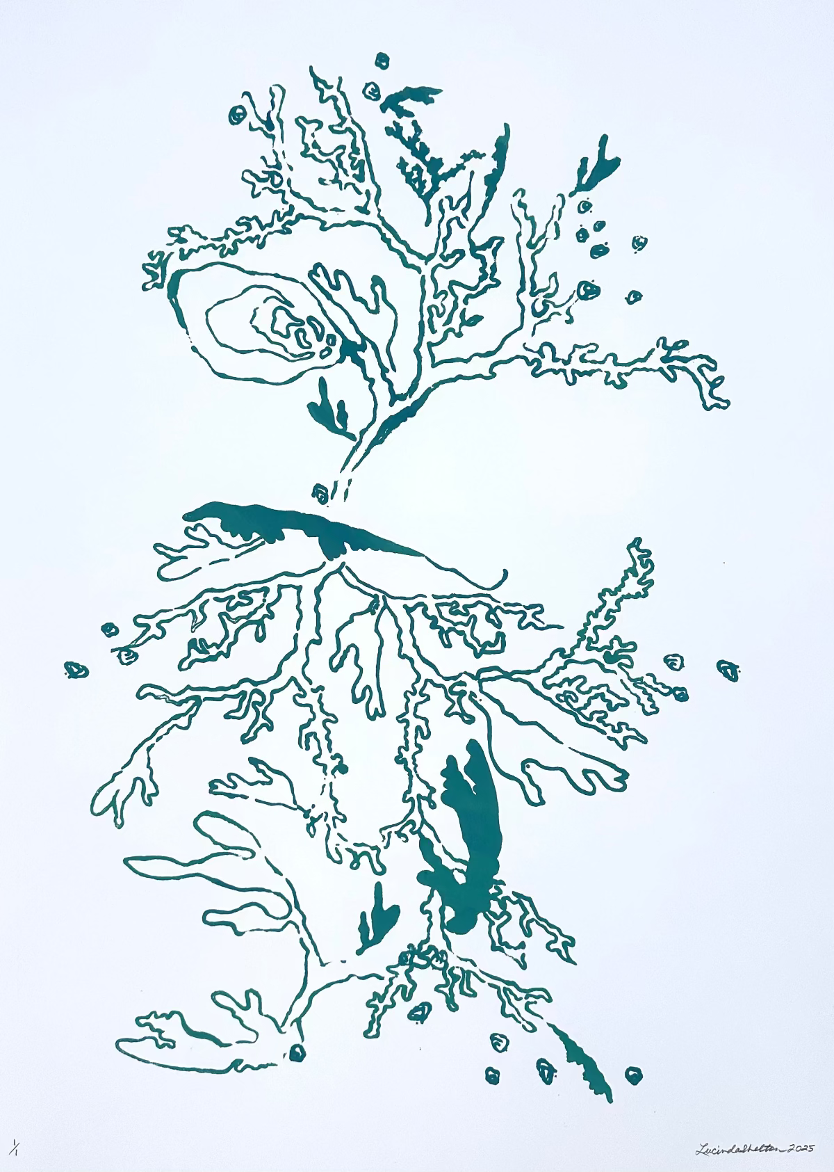 coral oyster and abstract coastal designs in teal blue ocean hues on a white background.