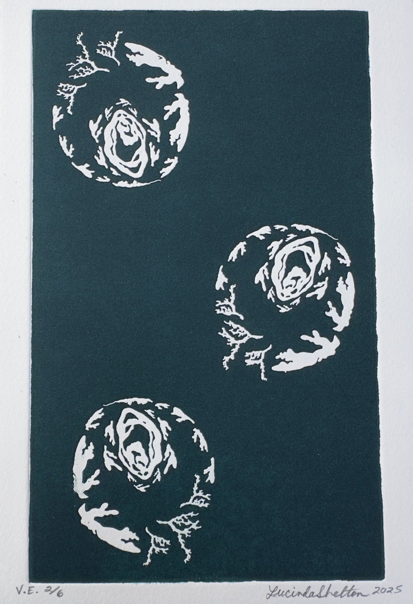 three circular shapes with designs of coral, oyster, and abstract forms on a dark slate teal solid background with a white boarder