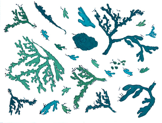 coral oyster and abstract coastal designs in teal blue ocean hues on a white background.