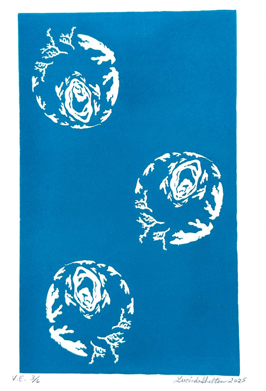 Three white circular patterns of white coral representing the global oceans on a teal blue background. 