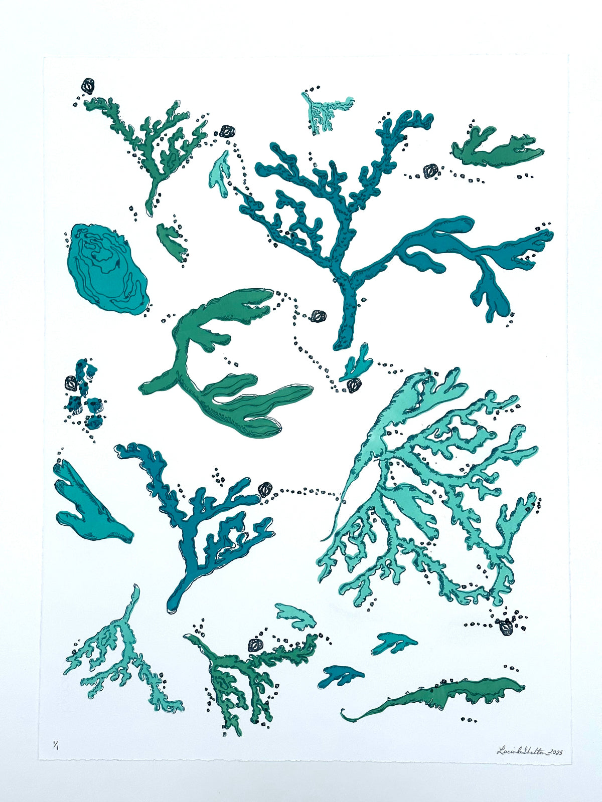 coral oyster and abstract coastal designs in teal blue ocean hues on a white background.