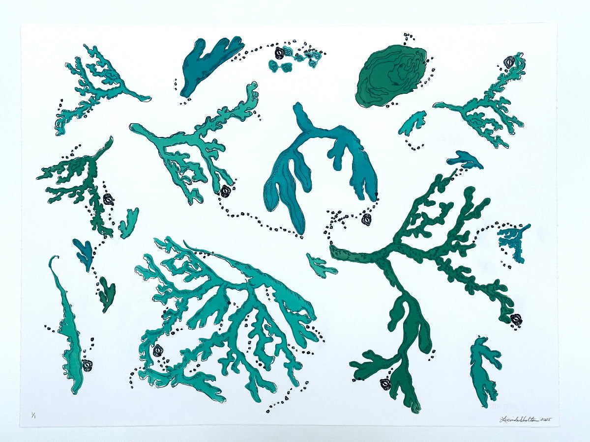 coral oyster and abstract coastal designs in teal blue ocean hues on a white background.