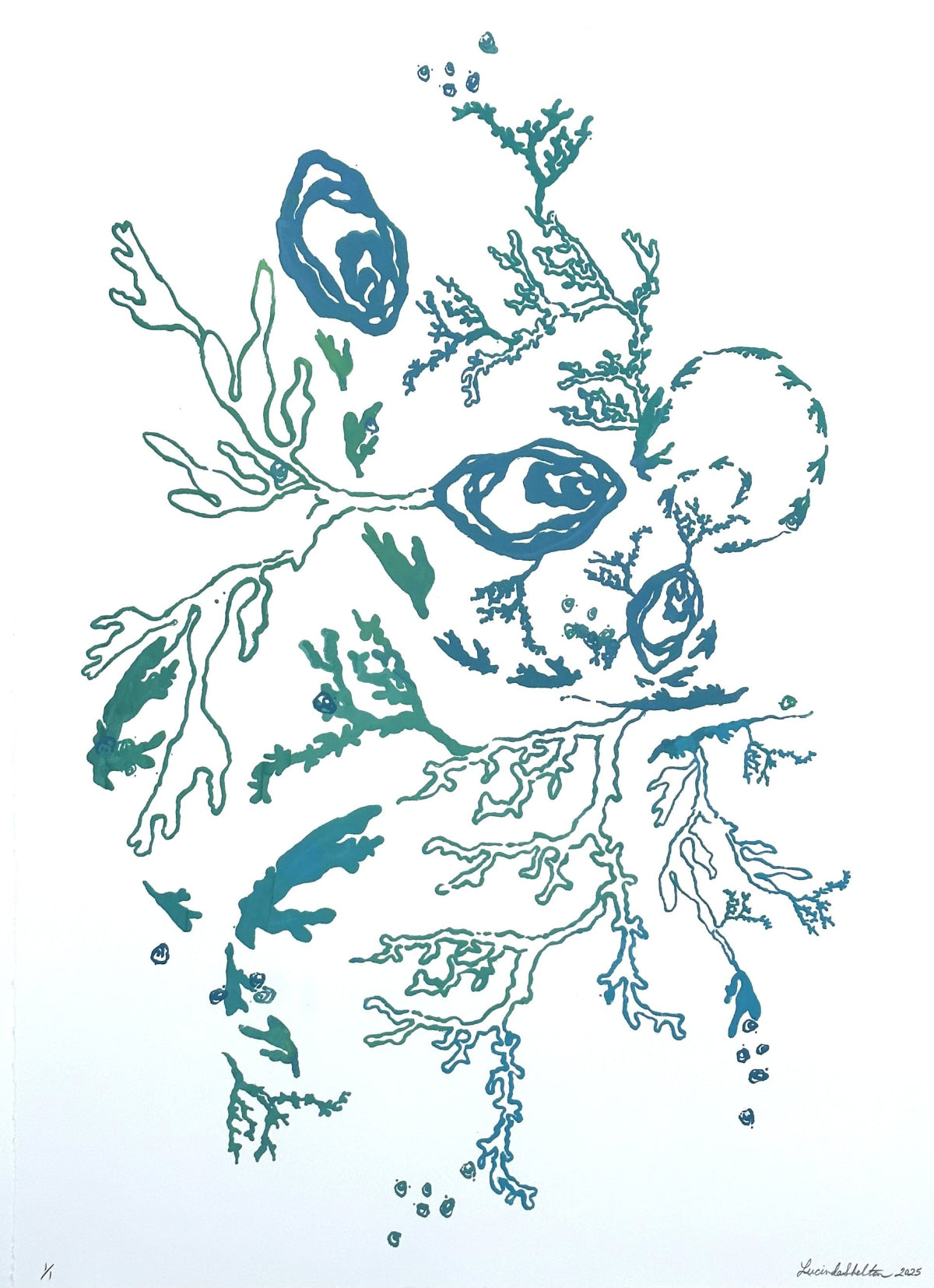 coral oyster and abstract coastal designs in teal blue ocean hues on a white background.